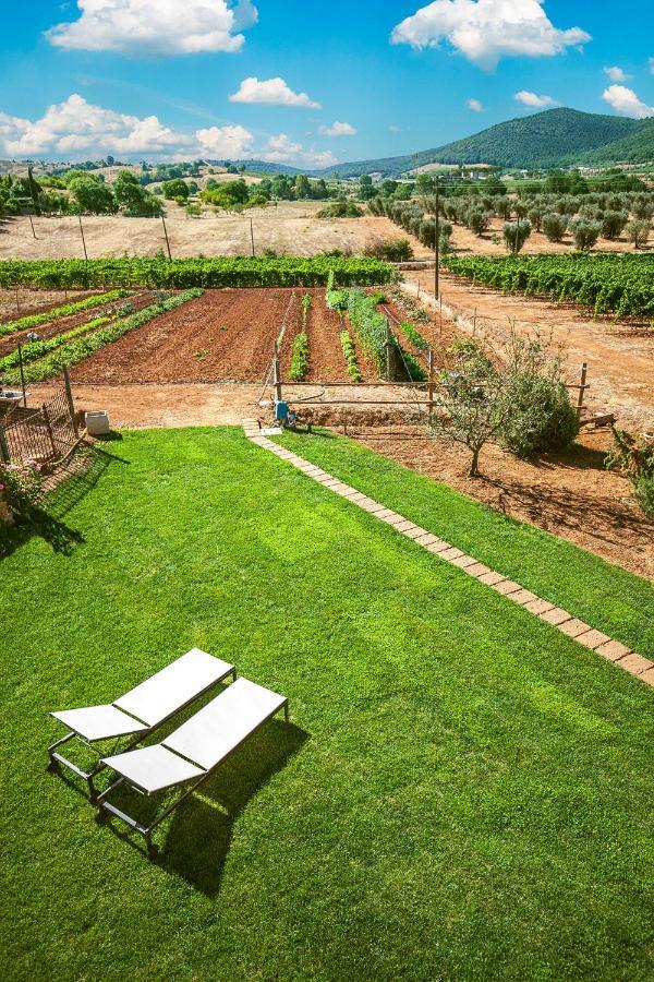 Poggiolivi Agriturismo Bio In Maremma Alberese Zewnętrze zdjęcie